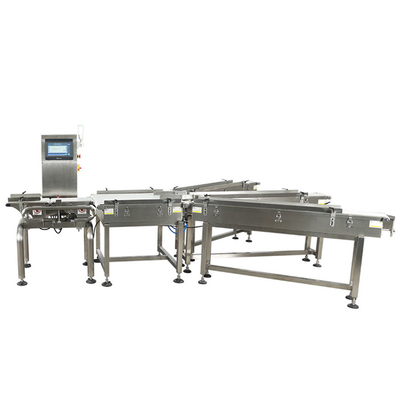 High Speed Large Capacity Conveyor Belt Weighing Sorting Machine