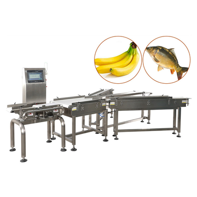 High Speed Large Capacity Conveyor Belt Weighing Sorting Machine